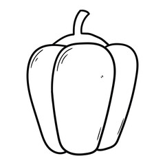 Hand drawn doodle bell pepper on white background.
