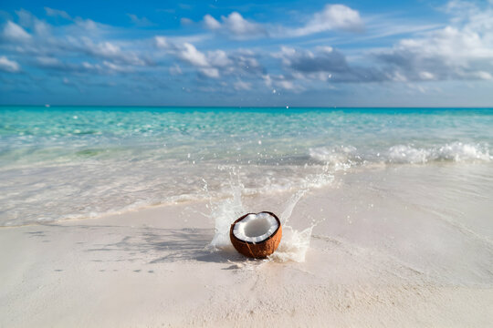 Coconut on a serene beach with turquoise waters and clear sky, exuding tropical vibes