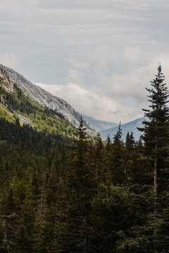 Paysage des montagnes et glaciers en alaska