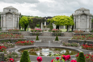 Rose garden