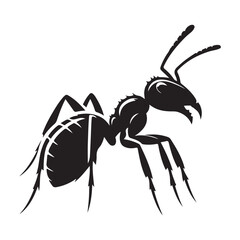 Ant Silhouette vector black color white background