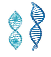 Detailed Representation of DNA Genome Structures on a Clear Background Generative AI