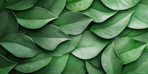 Overlapping green leaves forming a dense natural pattern, creating a smooth and fresh background, perfect for nature and eco-themed designs, selective focus

