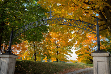 autumn leaves in the park