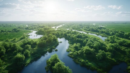 aerial view of a river delta with lush green vegetation and winding waterways Generative AI