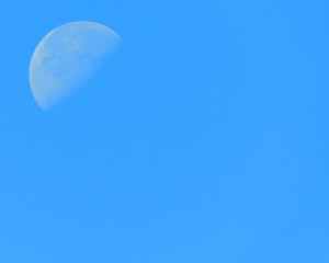 moon in blue sky for backgrounds