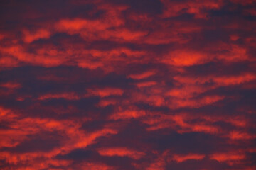 Fototapeta premium Cloudy sunset with gentle colorful clouds.