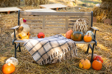 Dynia dynie jesień © mydayphoto