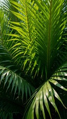 Obraz premium Vibrant tropical palm leaves creating a lush canopy in soft sunlight