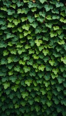Naklejka premium Vibrant green ivy leaves forming intricate pattern