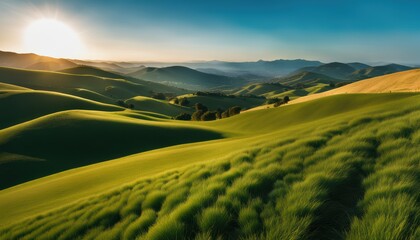 Obraz premium Panoramic view of endless grassy hills