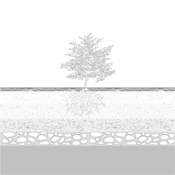 forest section, soil layer landscape drawing pattern. texture interior background line art. set of graphics elements drawing for architecture and landscape design. cad pattern