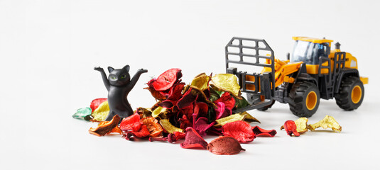 Toy forklift and funny kitten collect colorful dry fallen autumn leaves. Autumn cleaning and landscaping concept. Educational game concept for children. White background