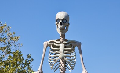 Giant skeleton in a parade with blue skies.