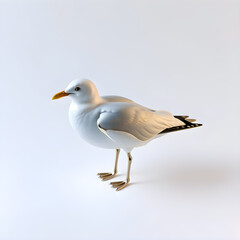 Fototapeta premium Seagull metallic 3D image of white seagull on white background. Generative AI