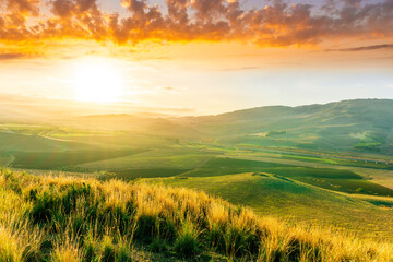 Obraz premium beautiful landscape in a yellow golden field in autumn or summer evening with nice rustic view of hills in countryside
