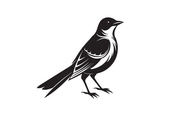Mockingbird silhouette vector illustration, Mockingbird silhouette vector