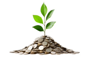 tree growing from coins