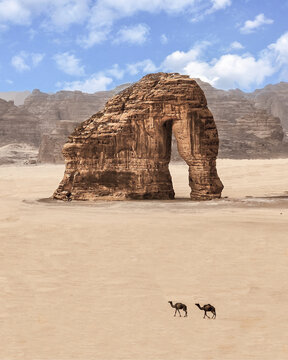 Dromedaries walking in front of Elephant Rock, AlUla, Saudi Arabia