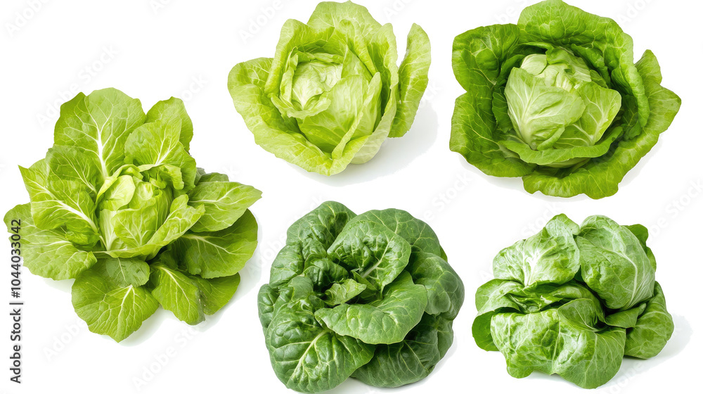 Poster fresh green butter lettuce collection arranged on a white background generative ai