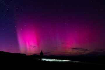 Fototapeta premium magic of the night