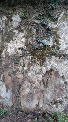 Rocky wall in Sant'Andrea, Italy, formed during road construction. Red-orange inclusions in rock surrounding grass plants bush rock formation steep descent texture of stones colorful mountain road 