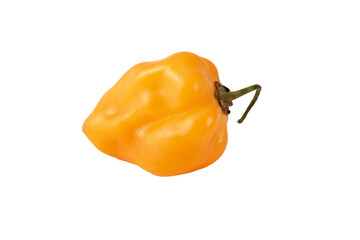 Papryczka habanero