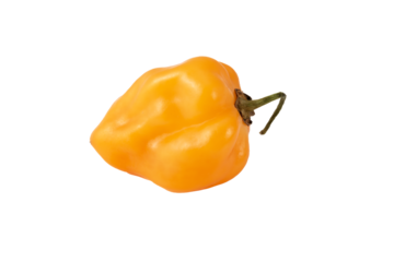 Papryczka habanero
