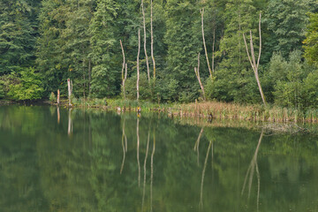 Autumn natural background. Picturesque mountain lake with reflection of trees in water.