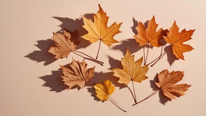 Fototapeta premium autumn leaves