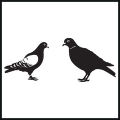Obraz premium Pigeon vector silhouette