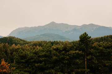 A beautiful and tranquil mountain landscape highlighting vibrant greenery resting peacefully beneath soft clouds