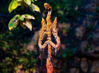 archaeological site temple in forest