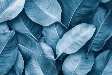 Fototapeta premium Abstract Nature Inspired Blue Leaves Pattern