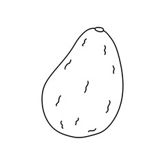 Simple outline of a ripe avocado drawn on white background with no color highlights in detail