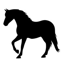 Obraz premium Horse silhouette isolated on white