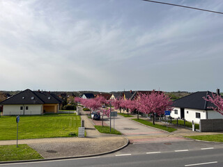 houses in the village of the country