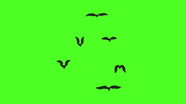 Black bats fly free on a green screen, Halloween Haunt: Bats Unbound
