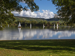 A group of sailboats are sailing on a lake