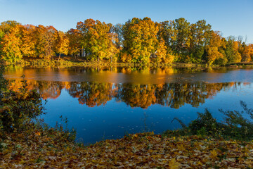autumn trees reflected in water