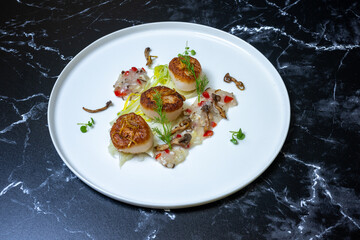 Braised Fennel and seared sea scallops con a plate with fennel puree and fennel Frans
