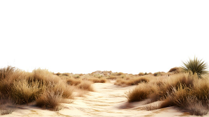 Cracked arid desert landscape with dry earth and sand dunes, isolated nature background, cut out
