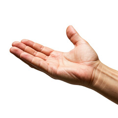 Open Human Hand on Transparent Background