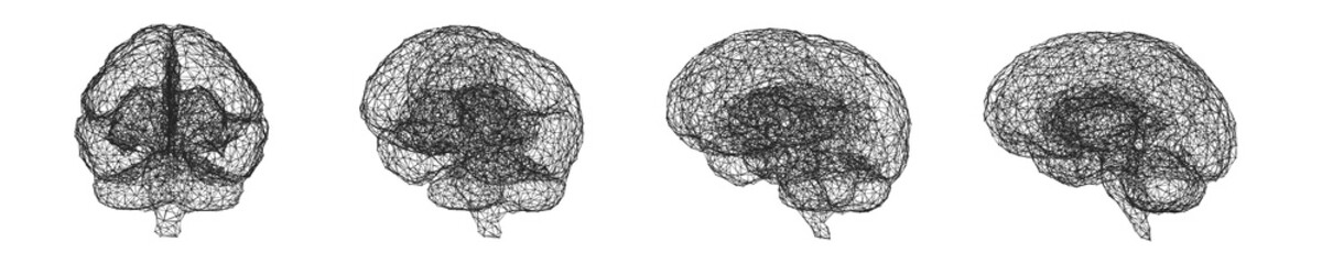 Artificial Neural Network. Brain as artificial intelligence network. Abstract brain made of connected nodes.