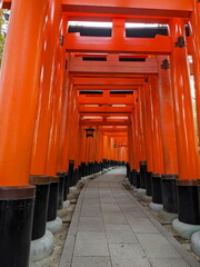Fushimi, Japan - 2023.12.17: Rows of bigger and higher Torii Gates than those in the famous Senbon...