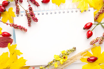 Autumn creative composition. Beautiful leaves, rose hips, dandelion and notebook on white background. Fall concept. Autumn background. Flat lay, top view, copy space