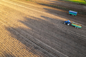 a tractor harvesting a potato plantation, aerial view from a drone. Concept of agricultural work