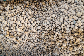 pile of potatoes on a tractor wagon during harvesting, overhead aerial view with drone