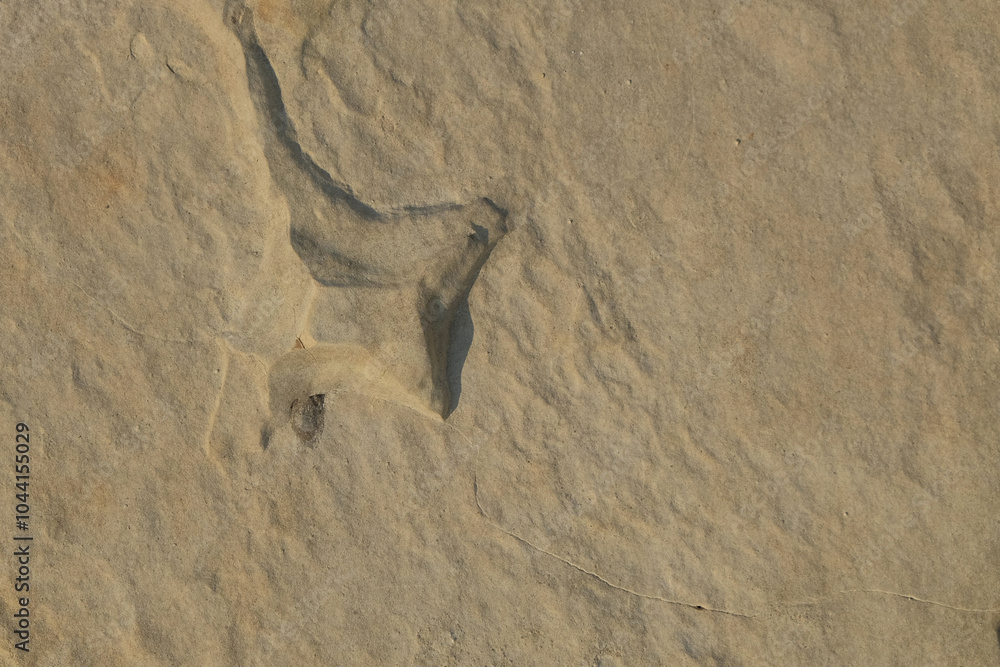 Poster abstract ornament on limestone surface. limestone wall on the edge of the lake.natural pattern and t