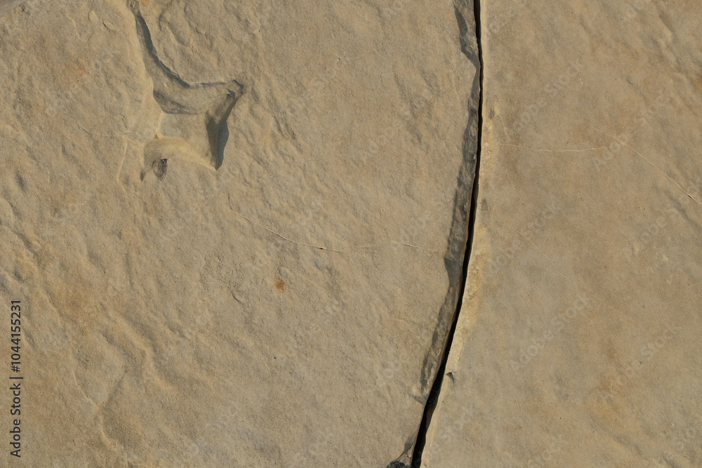 Poster abstract ornament on limestone surface. limestone wall on the edge of the lake.natural pattern and t